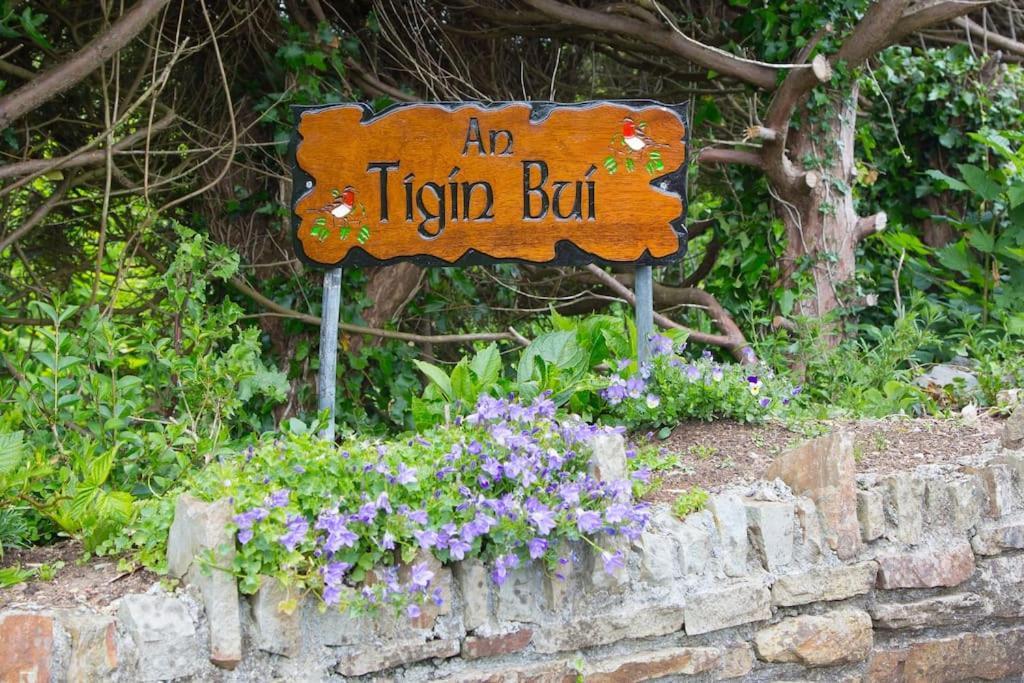 Villa An Tigin Bui à Glanbannoo Upper Extérieur photo